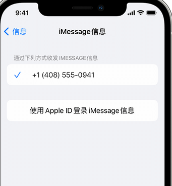 沔城回族镇apple维修iPhone上无法正常发送iMessage信息 