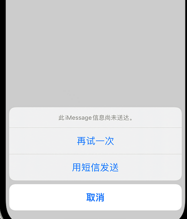 沔城回族镇apple维修iPhone上无法正常发送iMessage信息