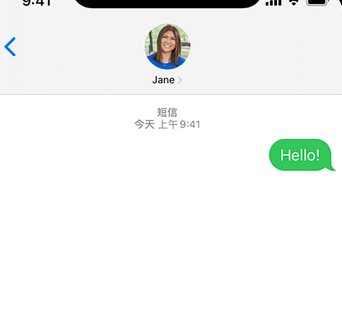 沔城回族镇apple维修iPhone上无法正常发送iMessage信息