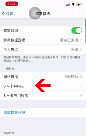 沔城回族镇苹果14维修网分享如何给iPhone14的SIM卡设置密码 