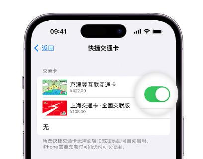 沔城回族镇apple维修点分享iPhone上更换Apple Pay快捷交通卡手绘卡面 