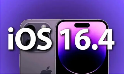 沔城回族镇苹果14维修分享：iPhone14可以升级iOS16.4beta2吗？ 