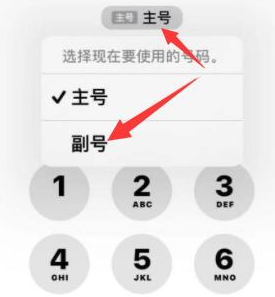 沔城回族镇苹果14维修店分享iPhone 14 Pro Max使用副卡打电话的方法 