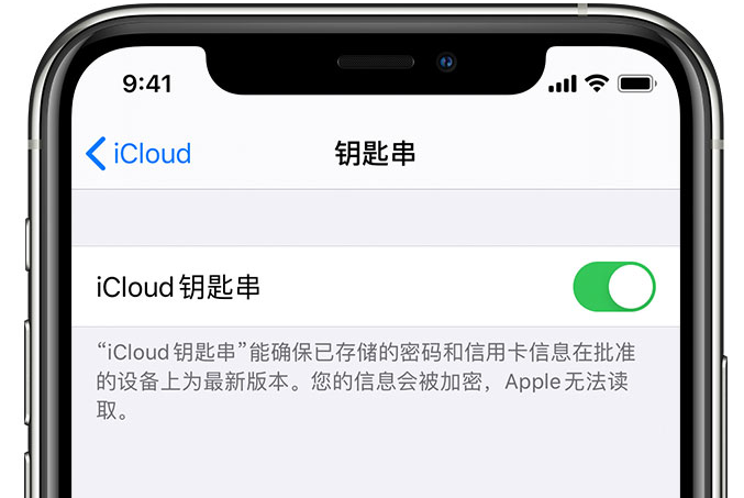 沔城回族镇苹果手机维修分享在 iPhone 上开启 iCloud 钥匙串之后会储存哪些信息 