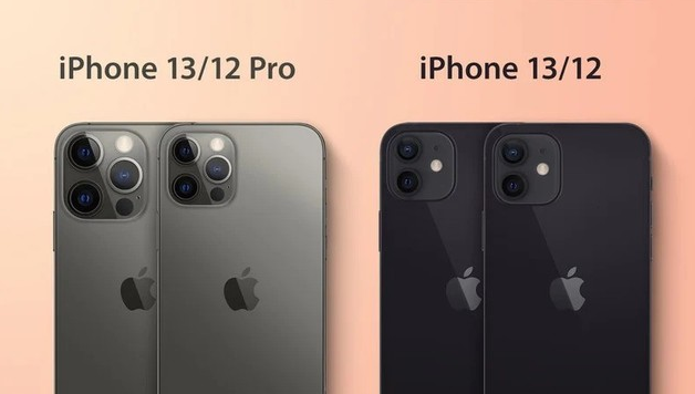沔城回族镇苹果手机维修分享iPhone 13 摄像头长什么样 