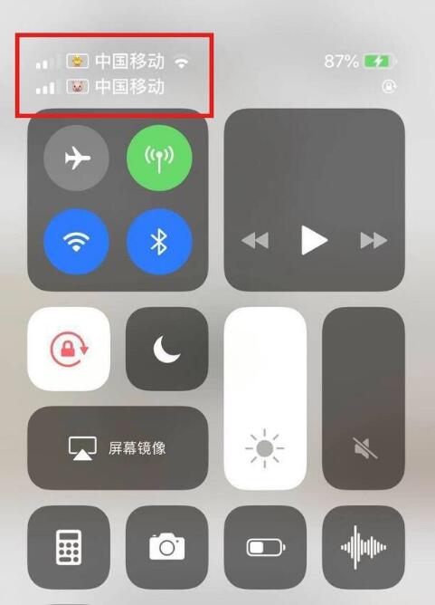 沔城回族镇苹果手机维修分享为 iPhone 12 双卡设置标签 