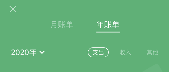 沔城回族镇苹果手机维修分享如何在 iPhone 上查看支付宝和微信年支出账单 