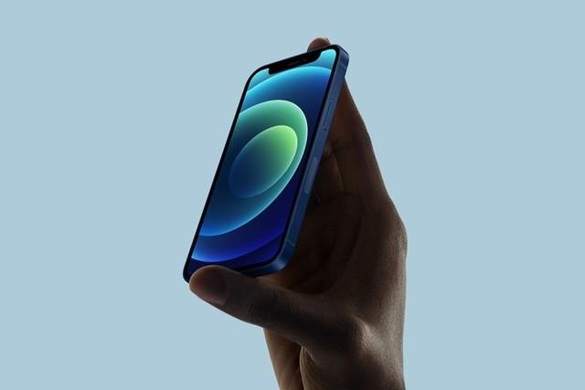 沔城回族镇苹果手机维修分享iPhone 12 mini辐射很大吗 